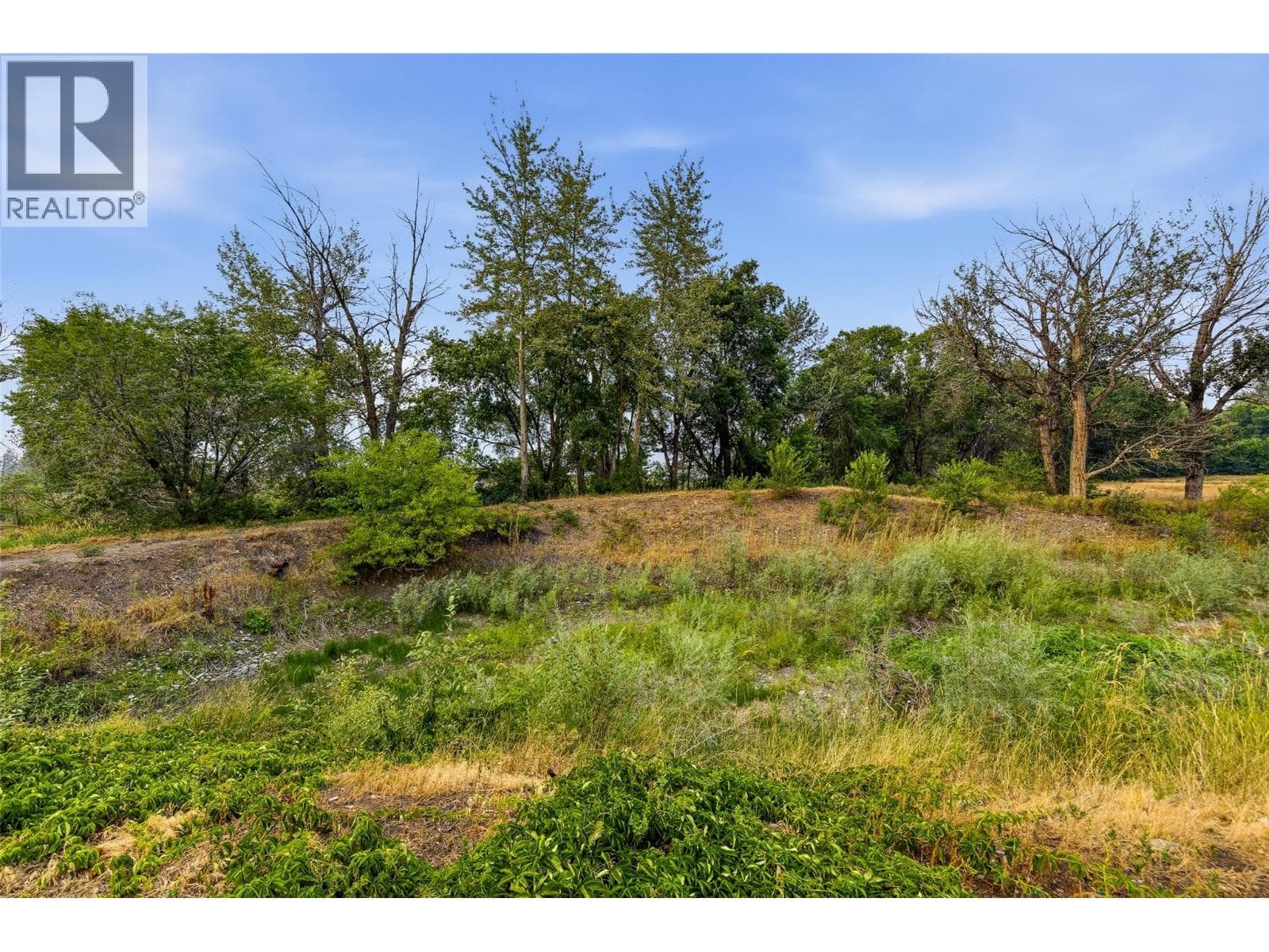 2249 Agar Road, photo 77
