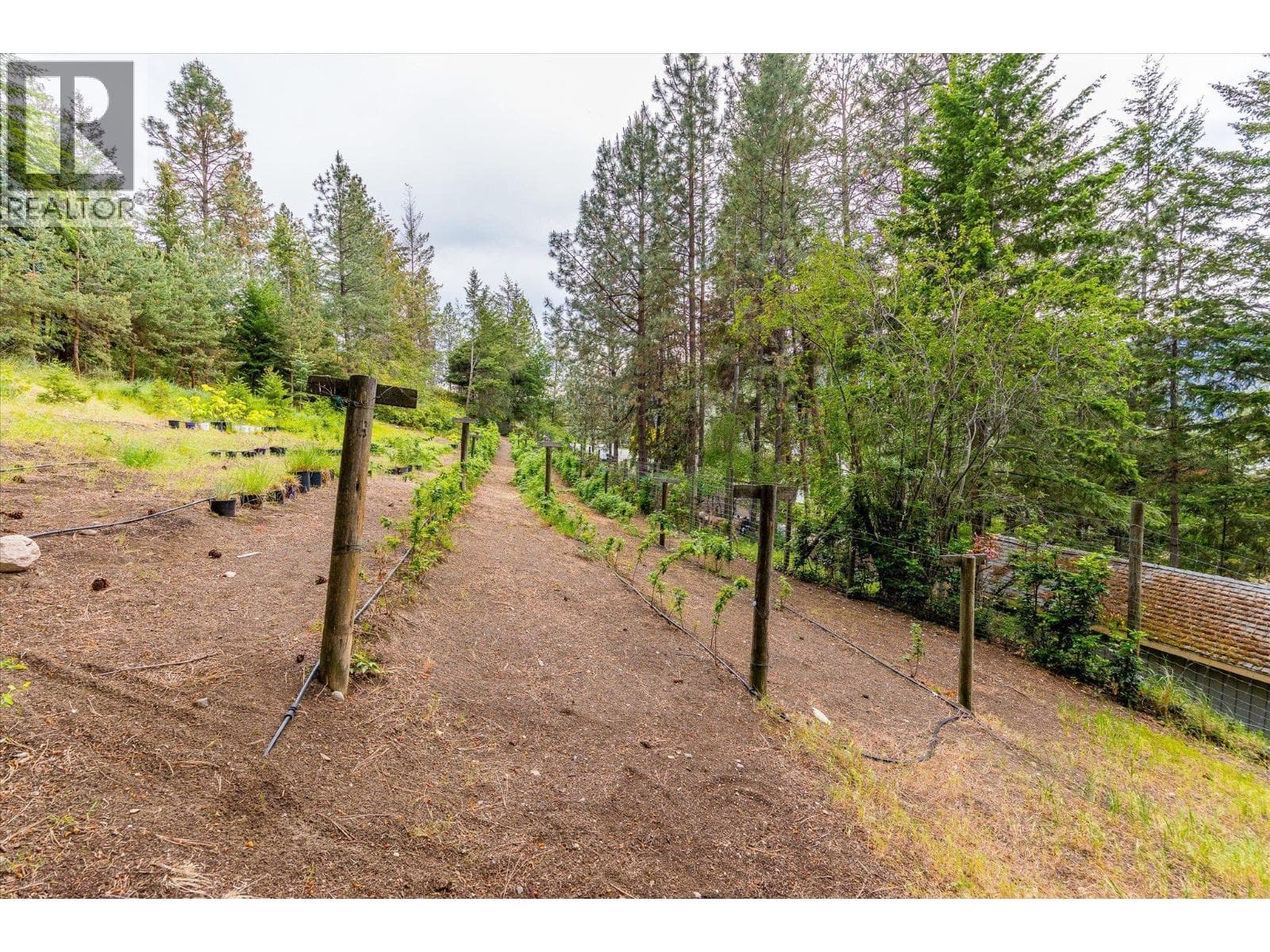 2765 Arthur Road, photo 84