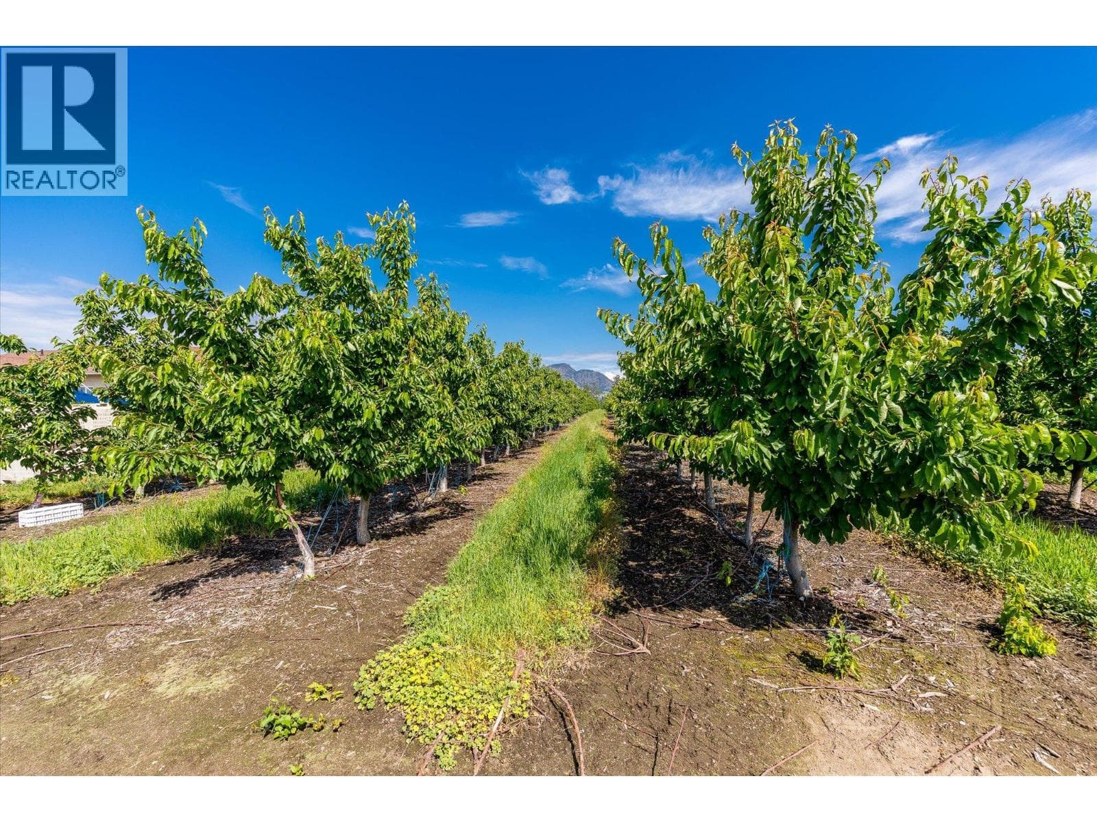 2775 Dunster Road, photo 15