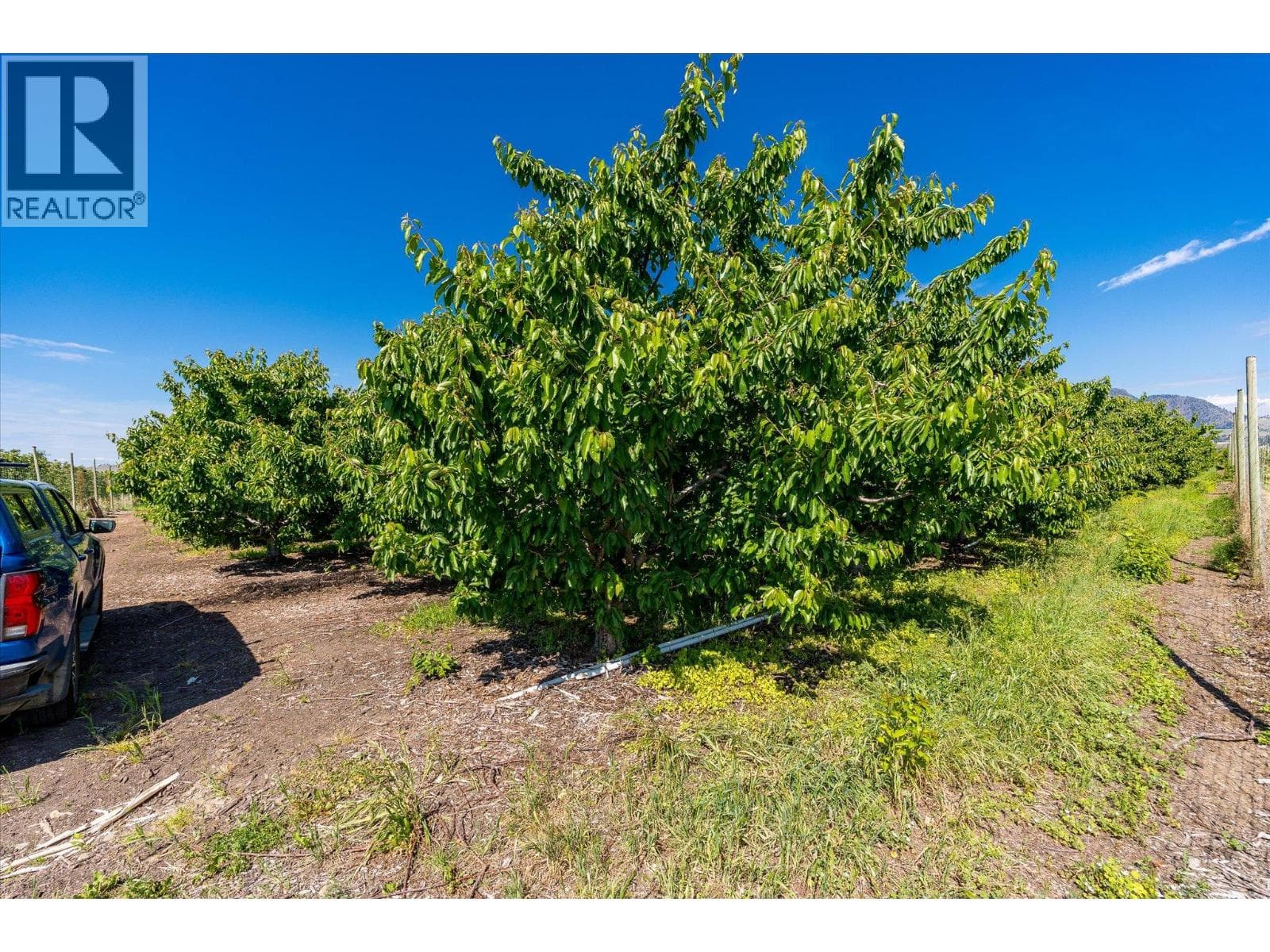 2775 Dunster Road, photo 17