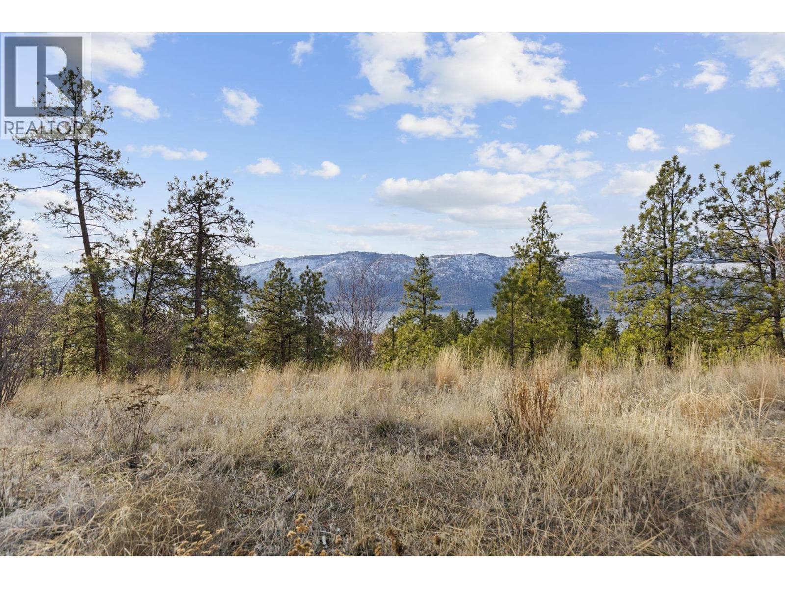 Proposed Lot A Cemetery Road, photo 39