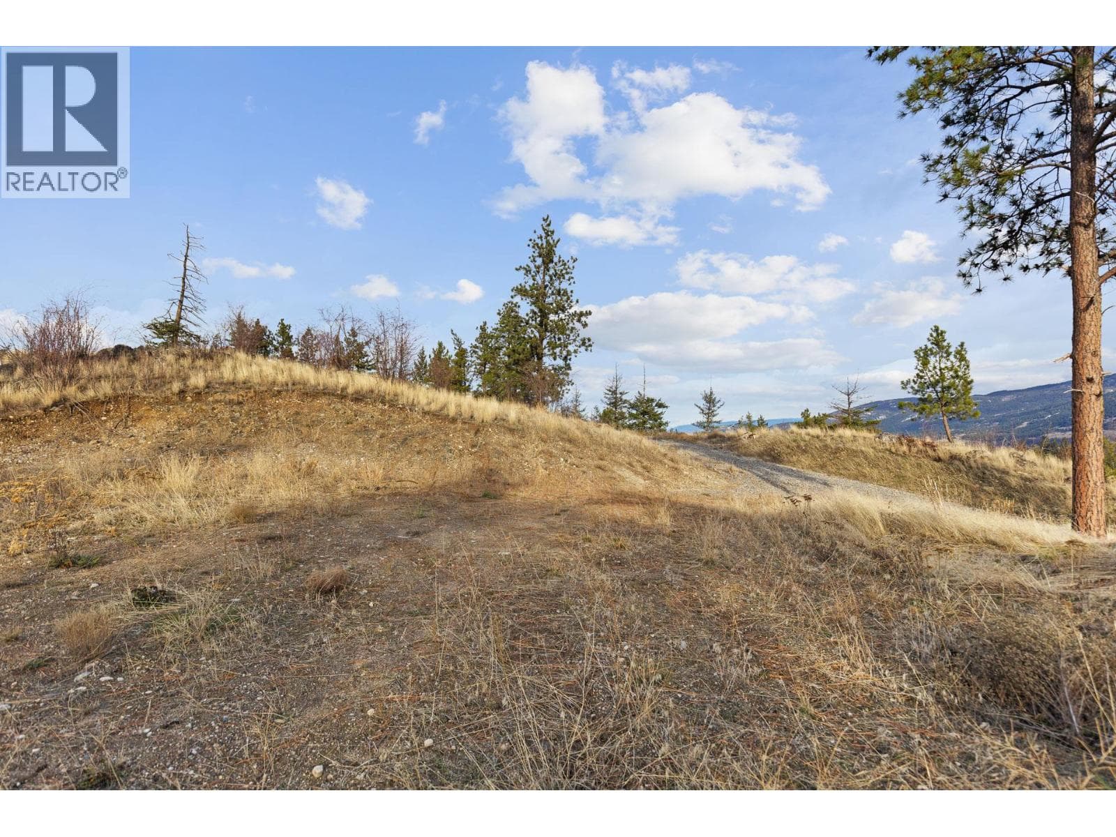 Proposed Lot A Cemetery Road, photo 38