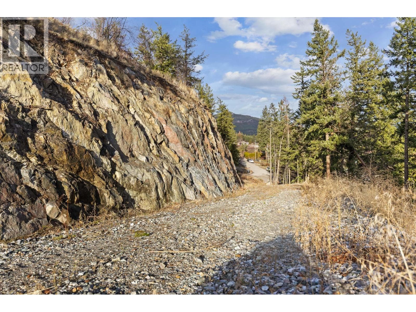 Proposed Lot A Cemetery Road, photo 41