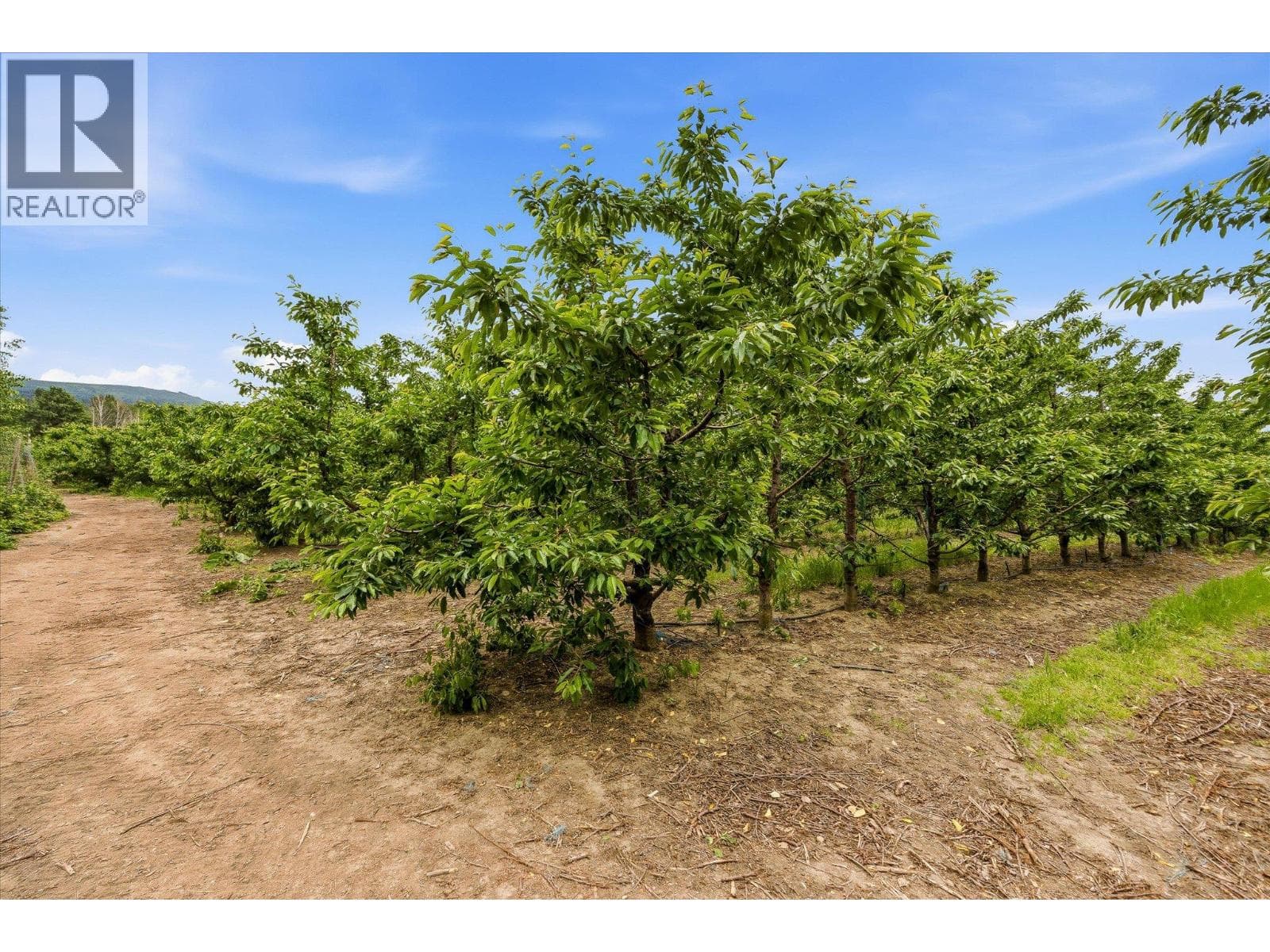 4400 Jaud Road, photo 18
