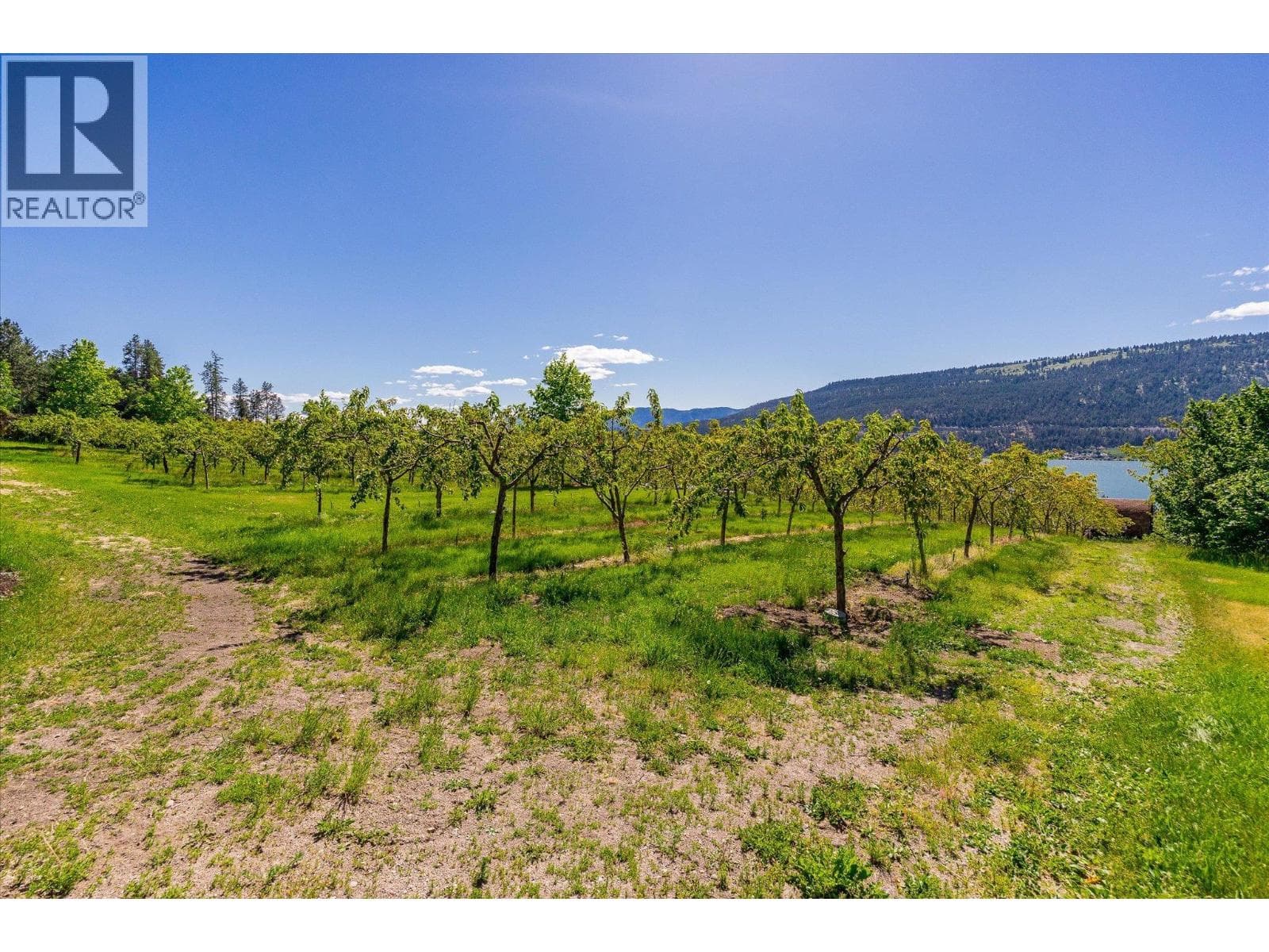 14924 Middle Bench Road, photo 57