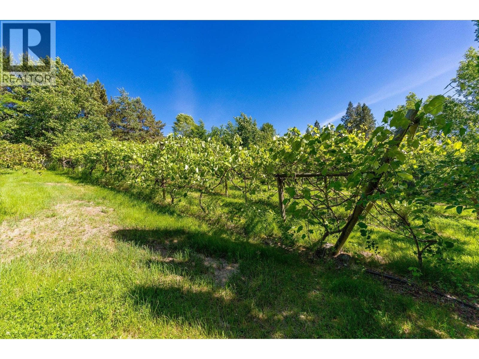 14924 Middle Bench Road, photo 63