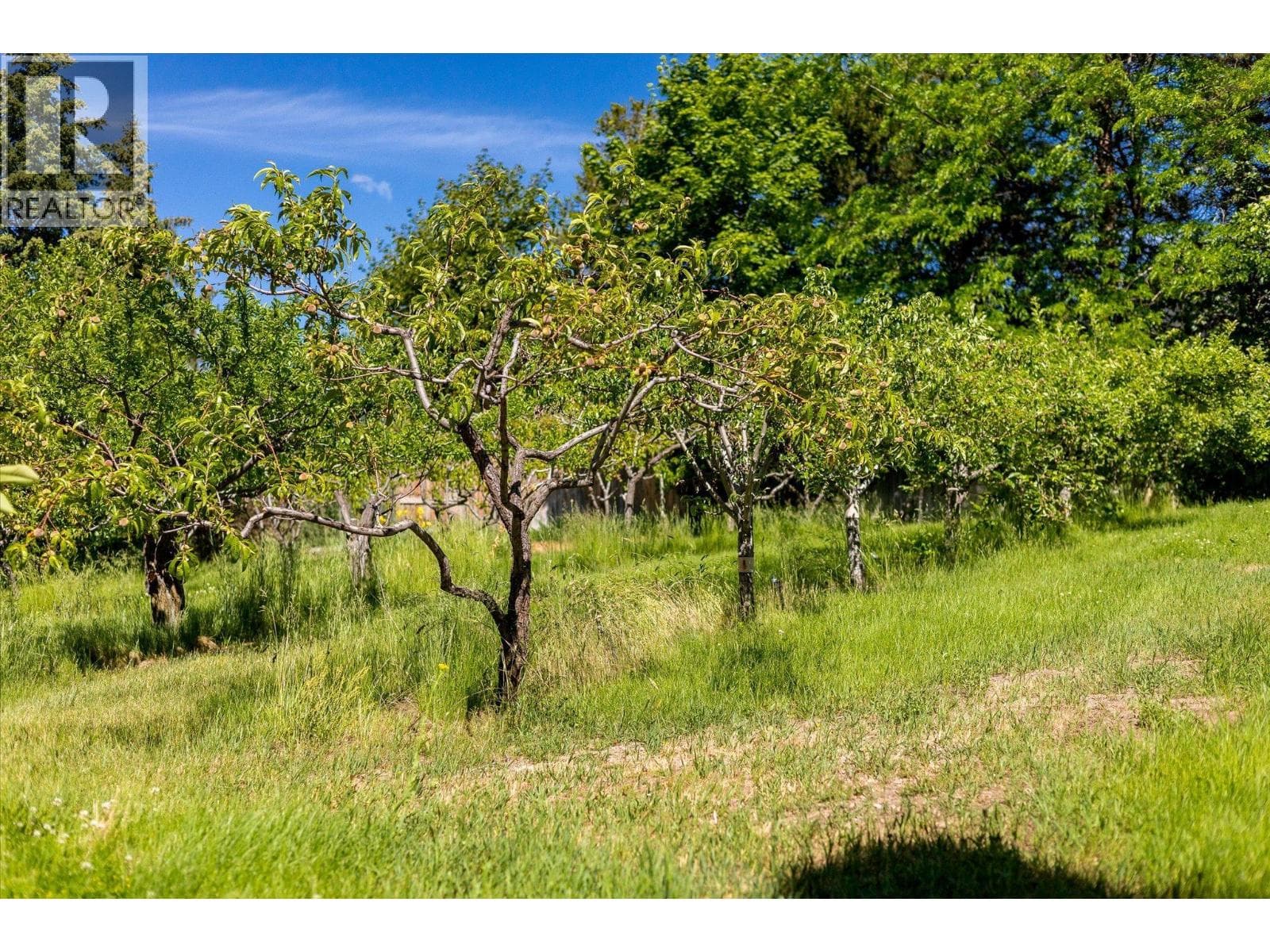 14924 Middle Bench Road, photo 62