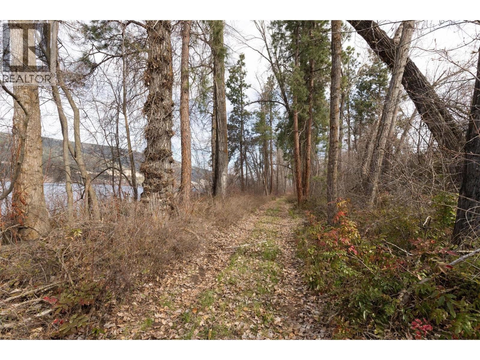 Lot A Oyama Road, photo 13