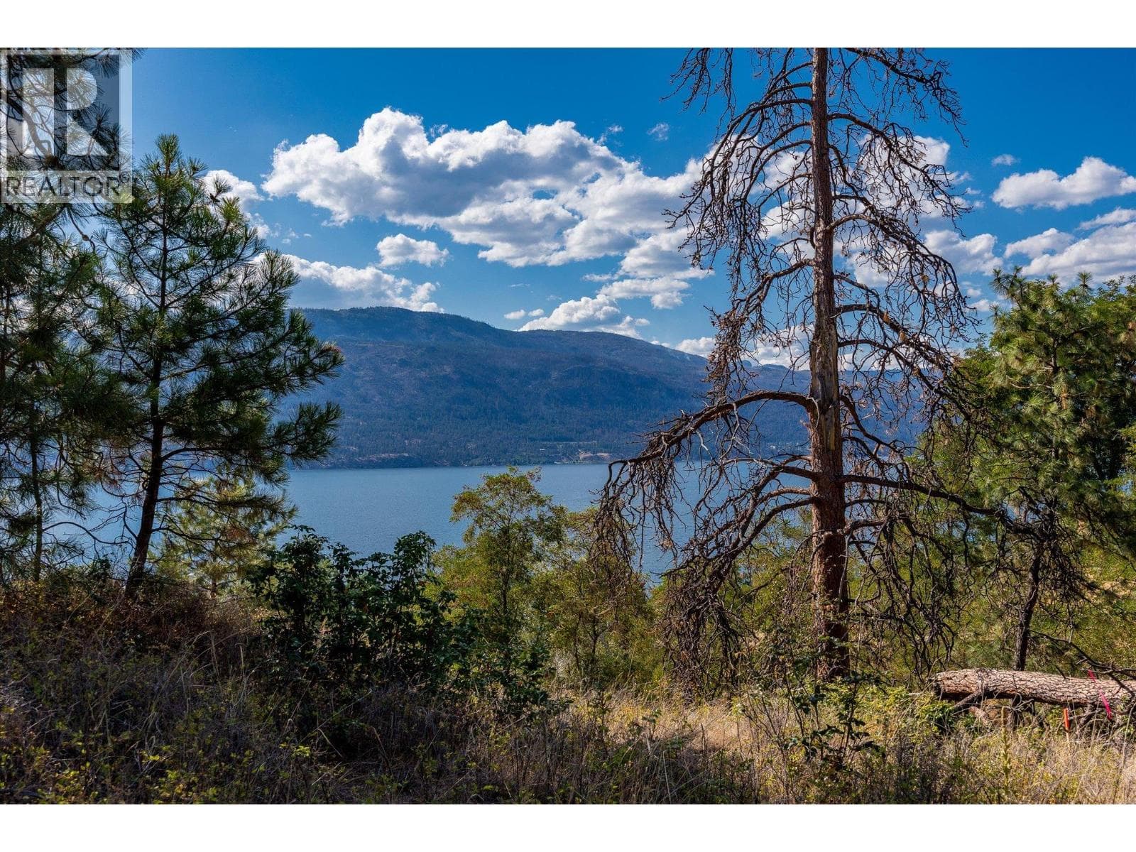 Okanagan Centre Road W Lot# 102, photo 9