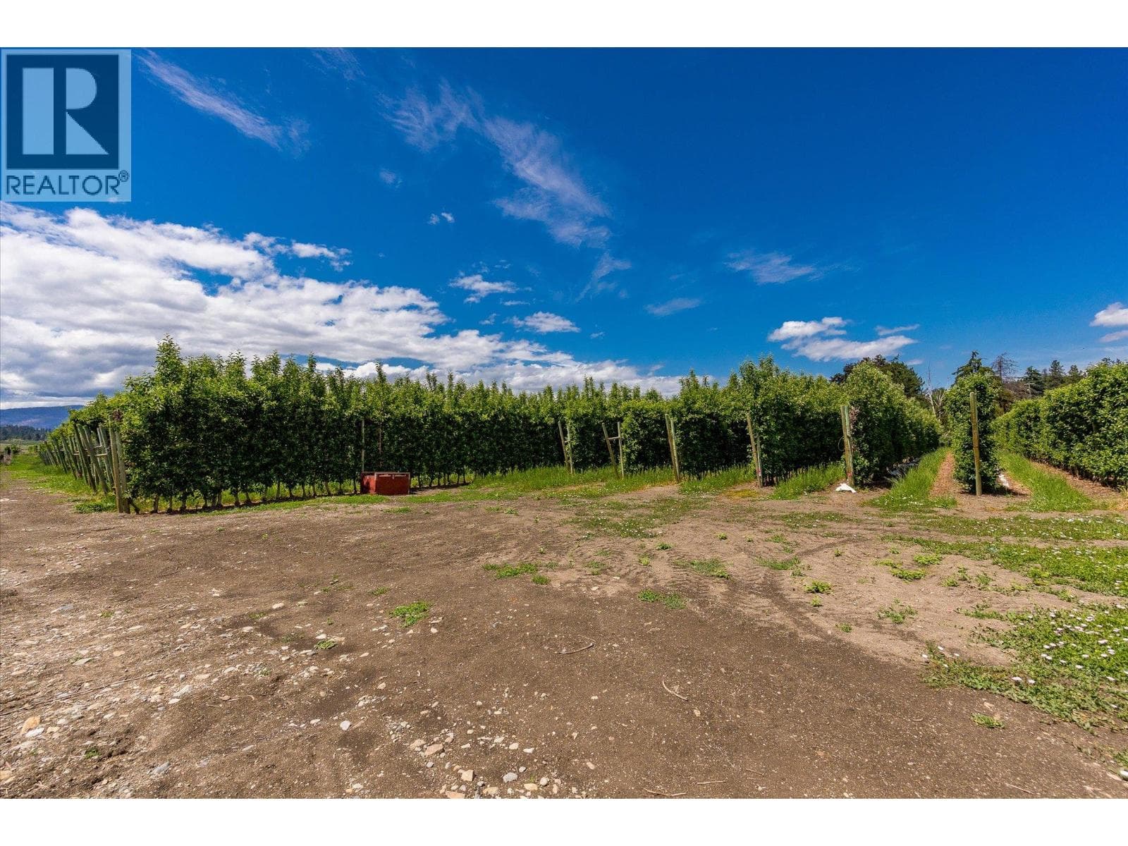 5790 Rittich Road, photo 12