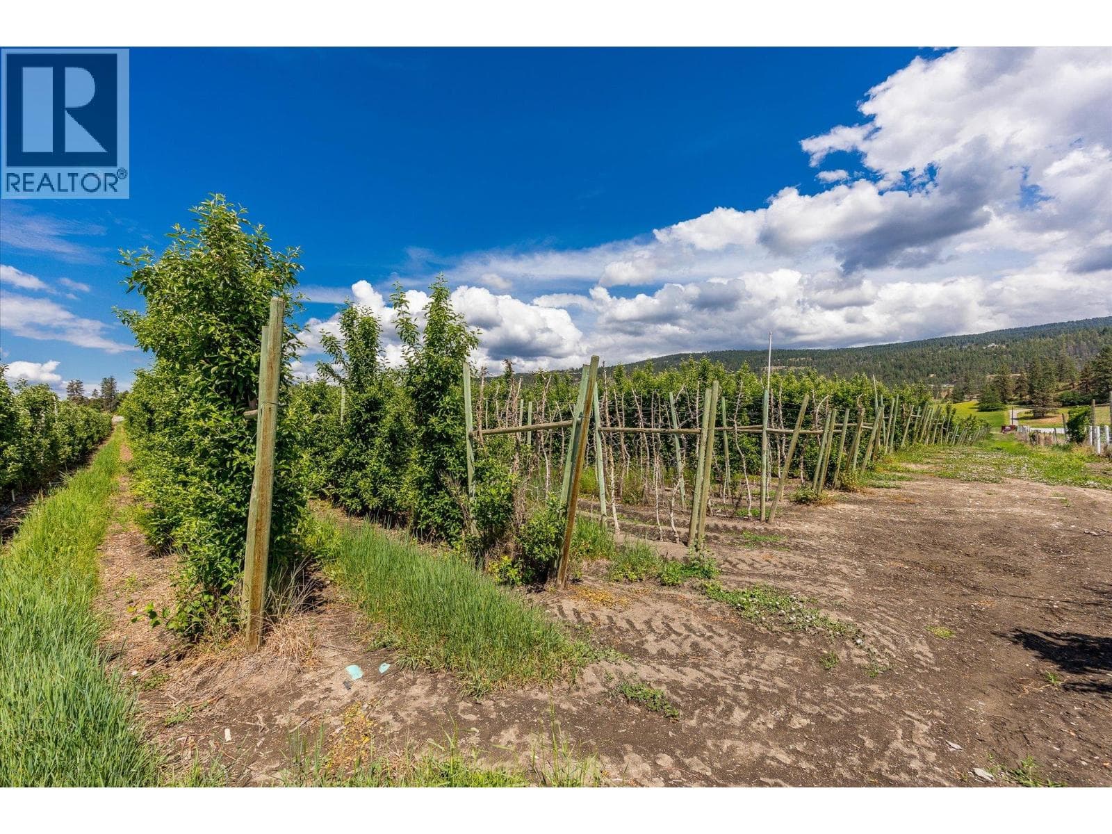 5790 Rittich Road, photo 11