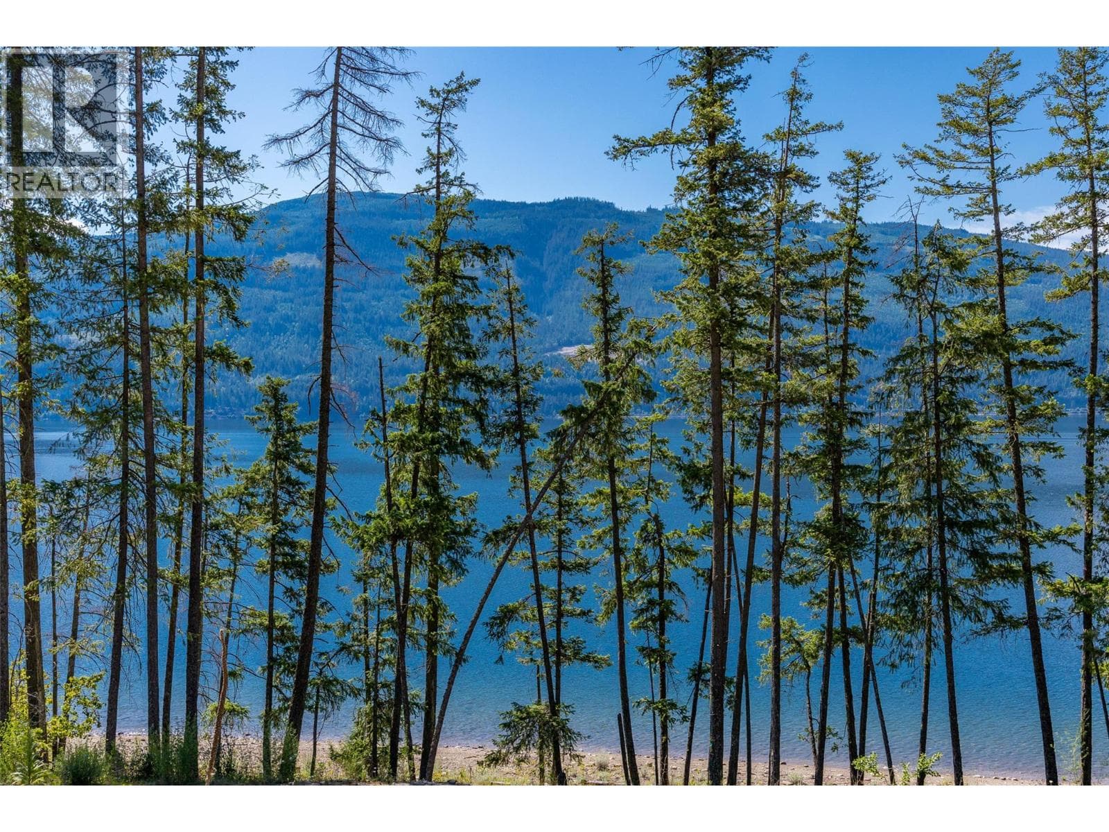 4990 Sunnybrae-Canoe Point Road Unit# 2, photo 50