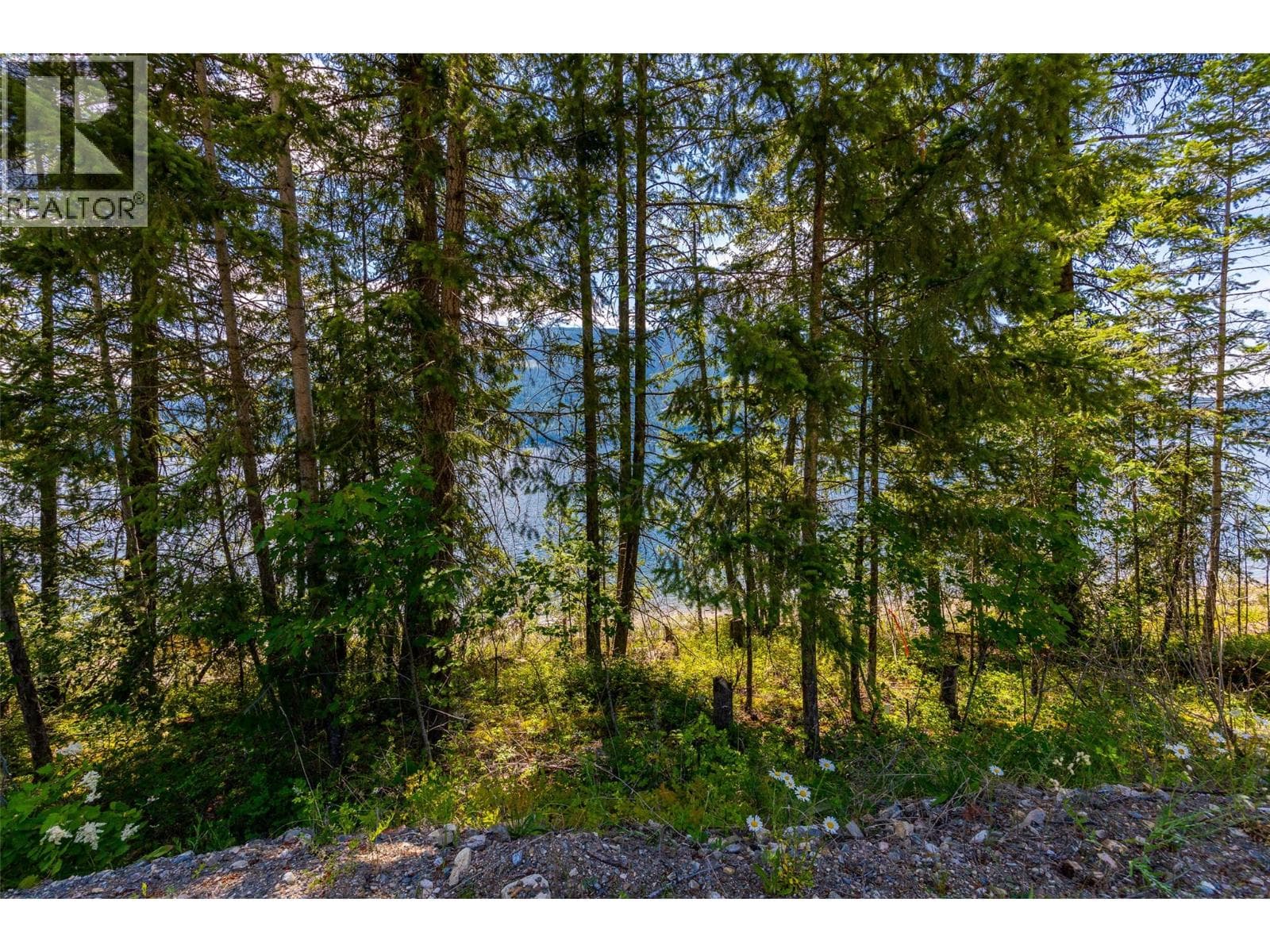 Sunnybrae-Canoe Point Road Unit# 2, photo 13