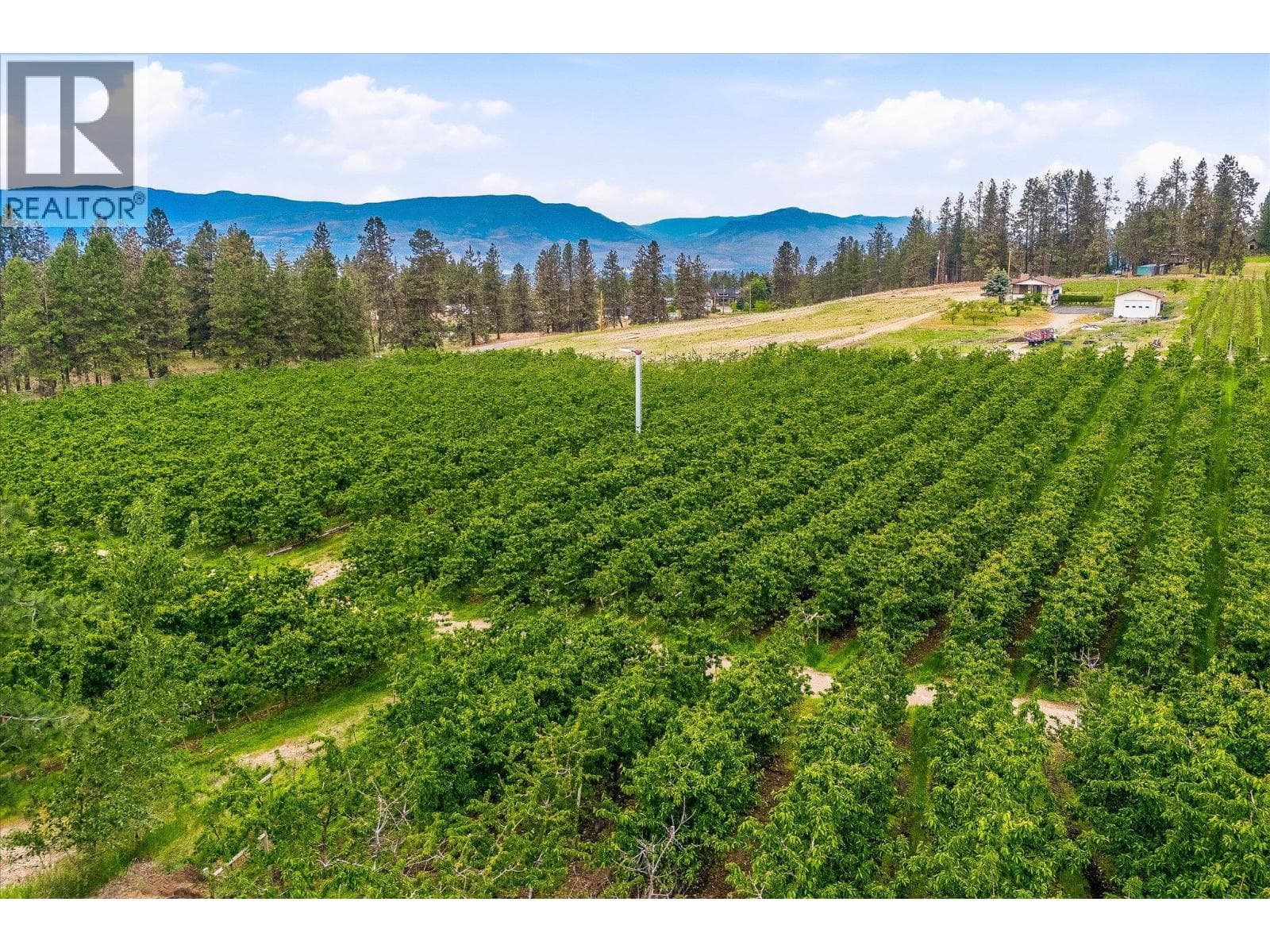 4235 Todd Road, photo 14