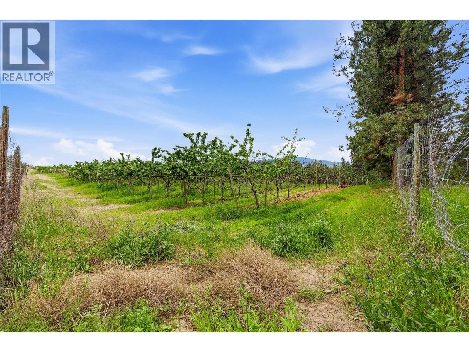4235 Todd Road, photo 43