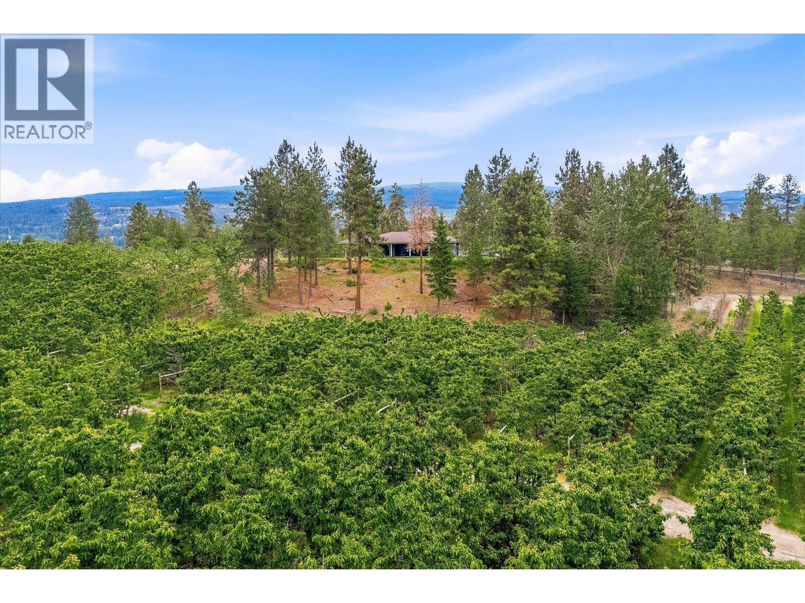 4235 Todd Road, photo 16