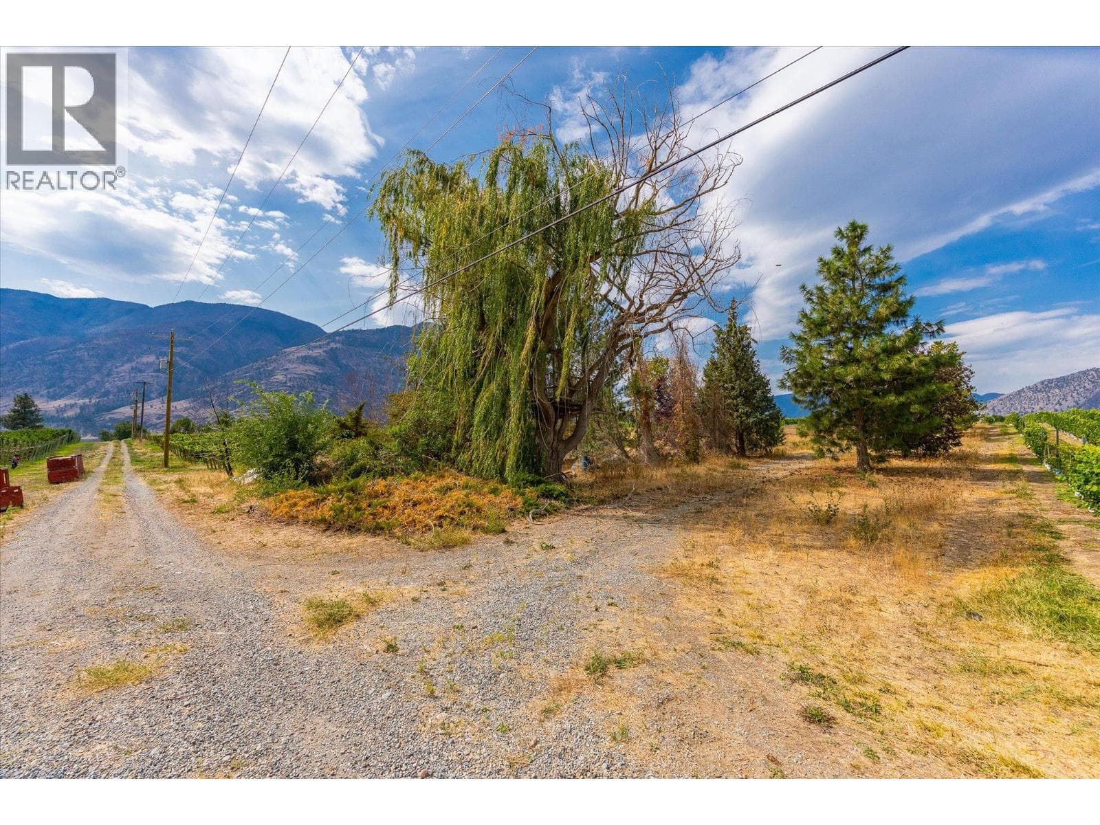 2025 Surprise Drive, photo 10