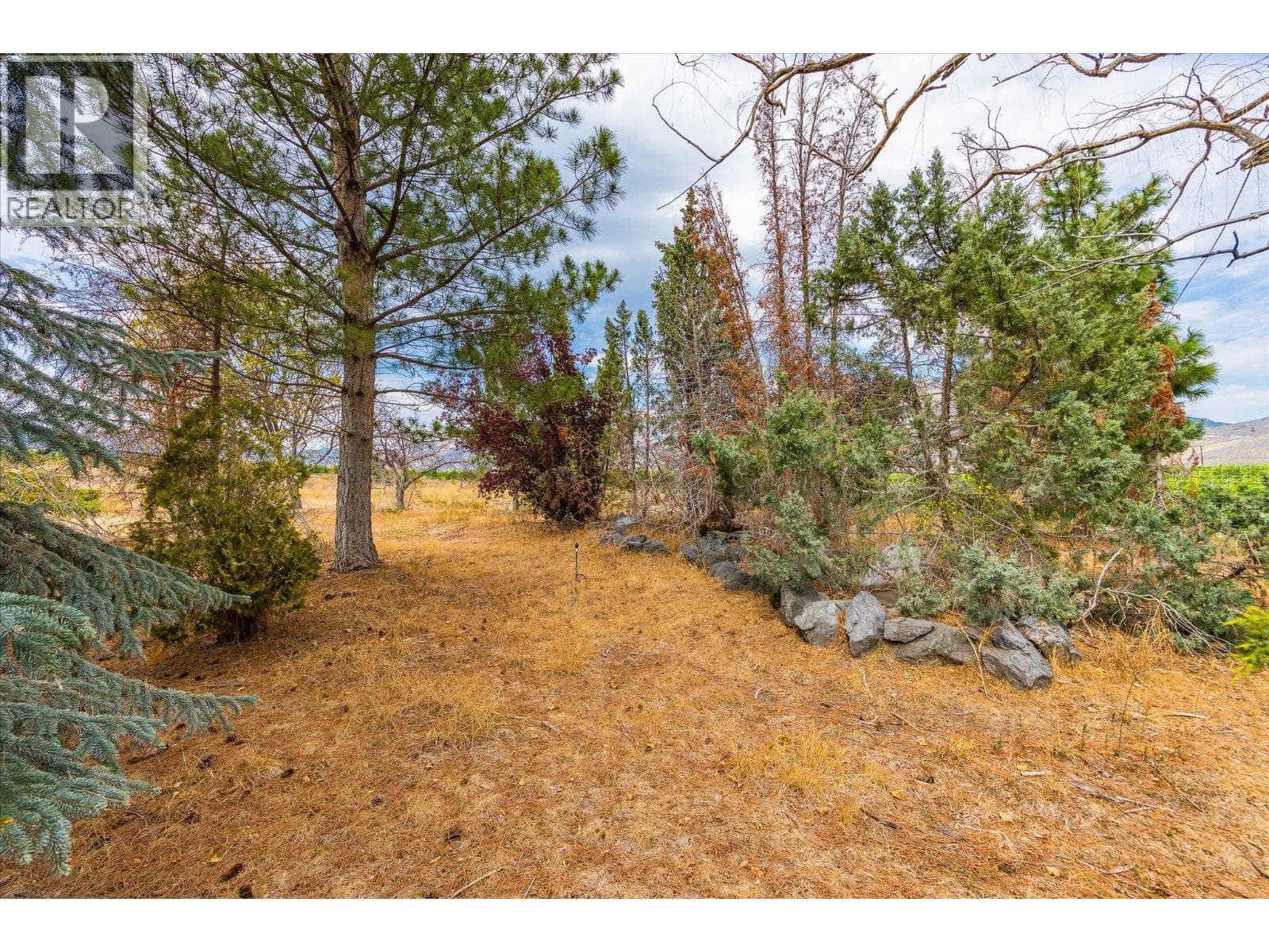 2025 Surprise Drive, photo 16