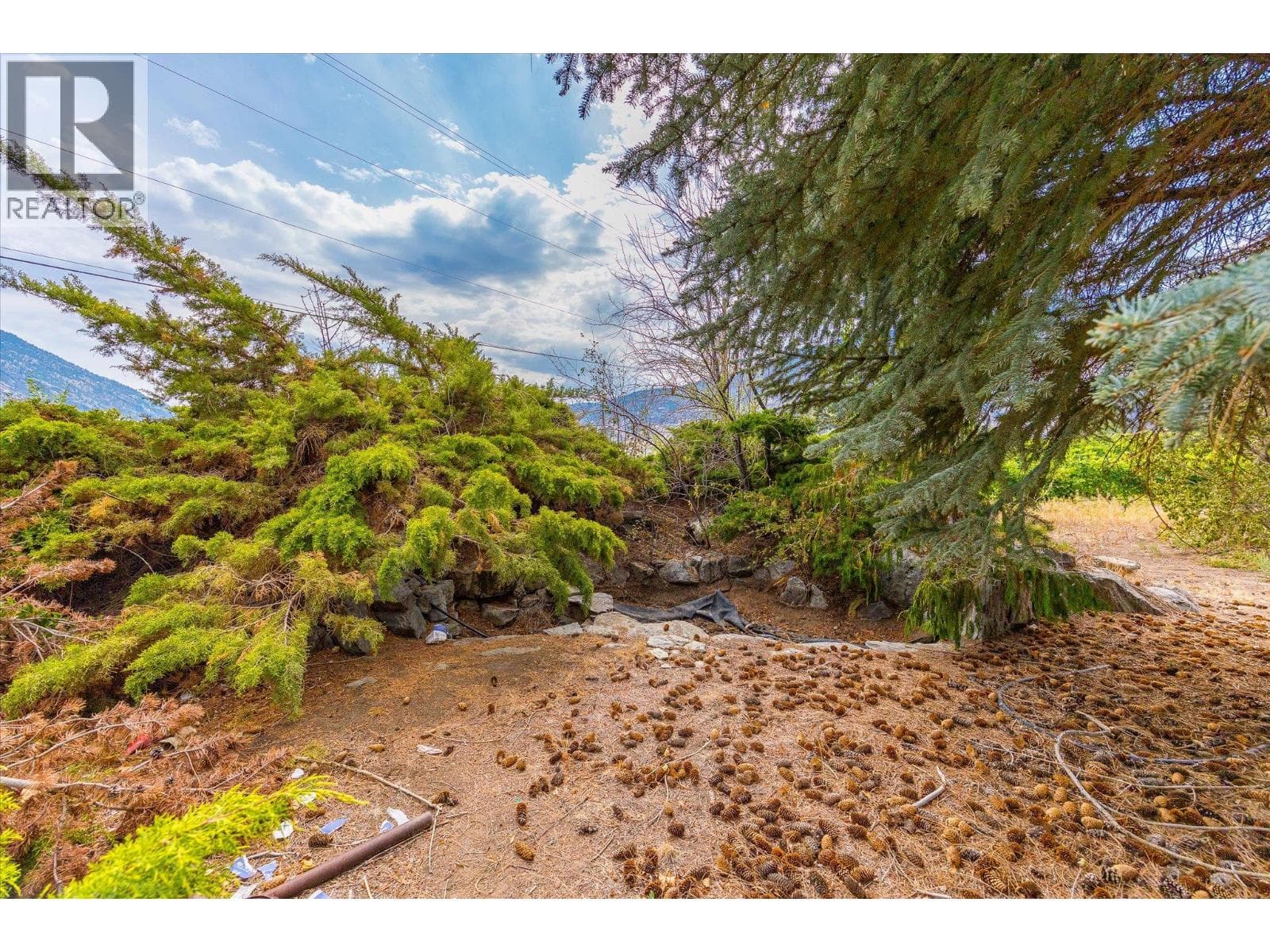 2025 Surprise Drive, photo 17
