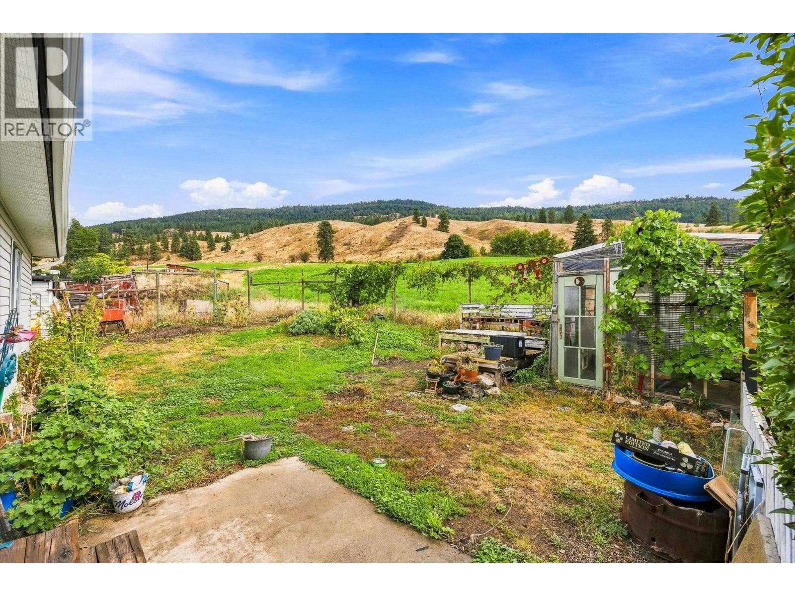 12891 Trewhitt Road, photo 49