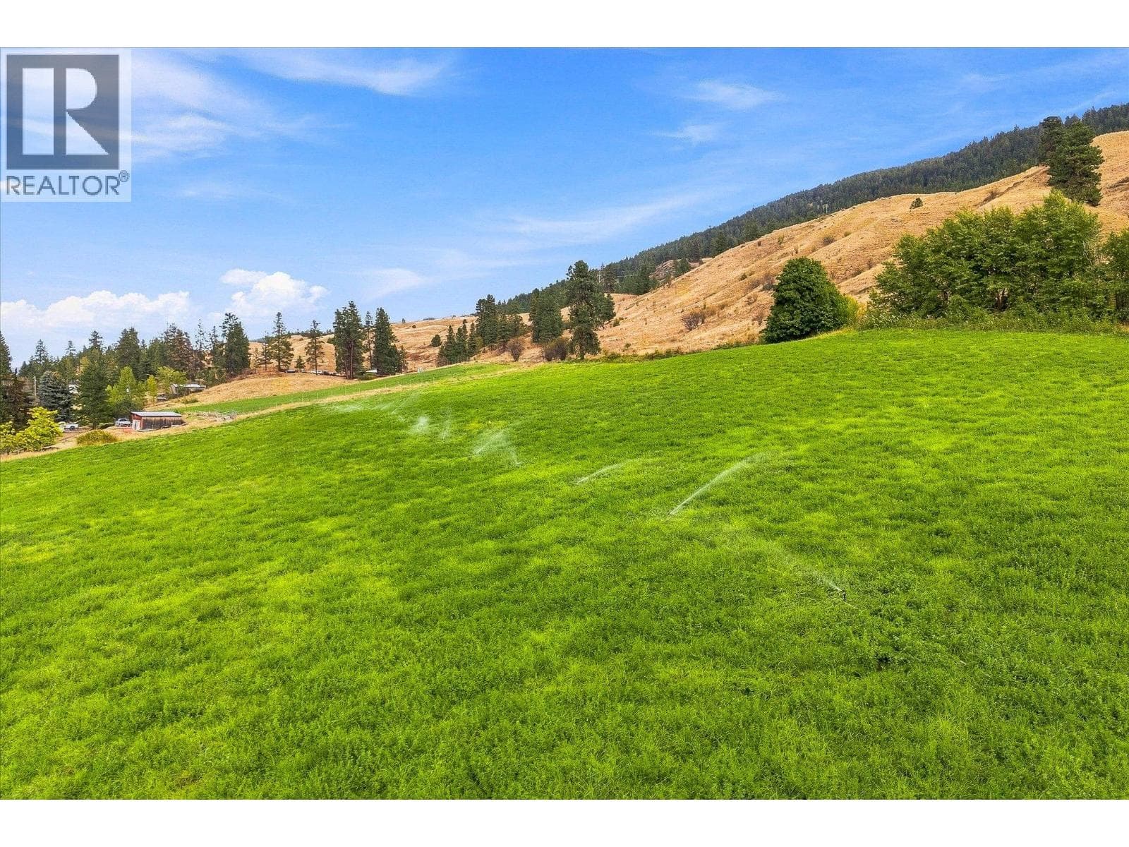 12891 Trewhitt Road, photo 60