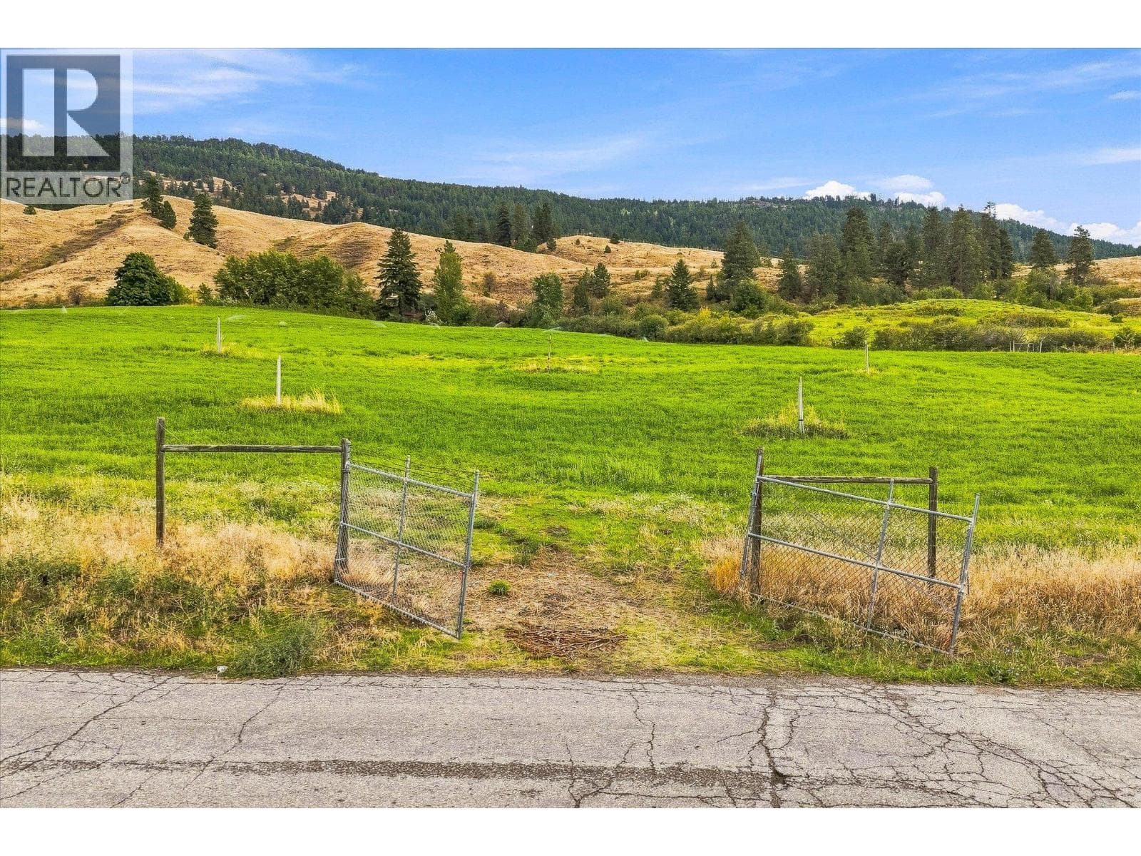 12891 Trewhitt Road, photo 51