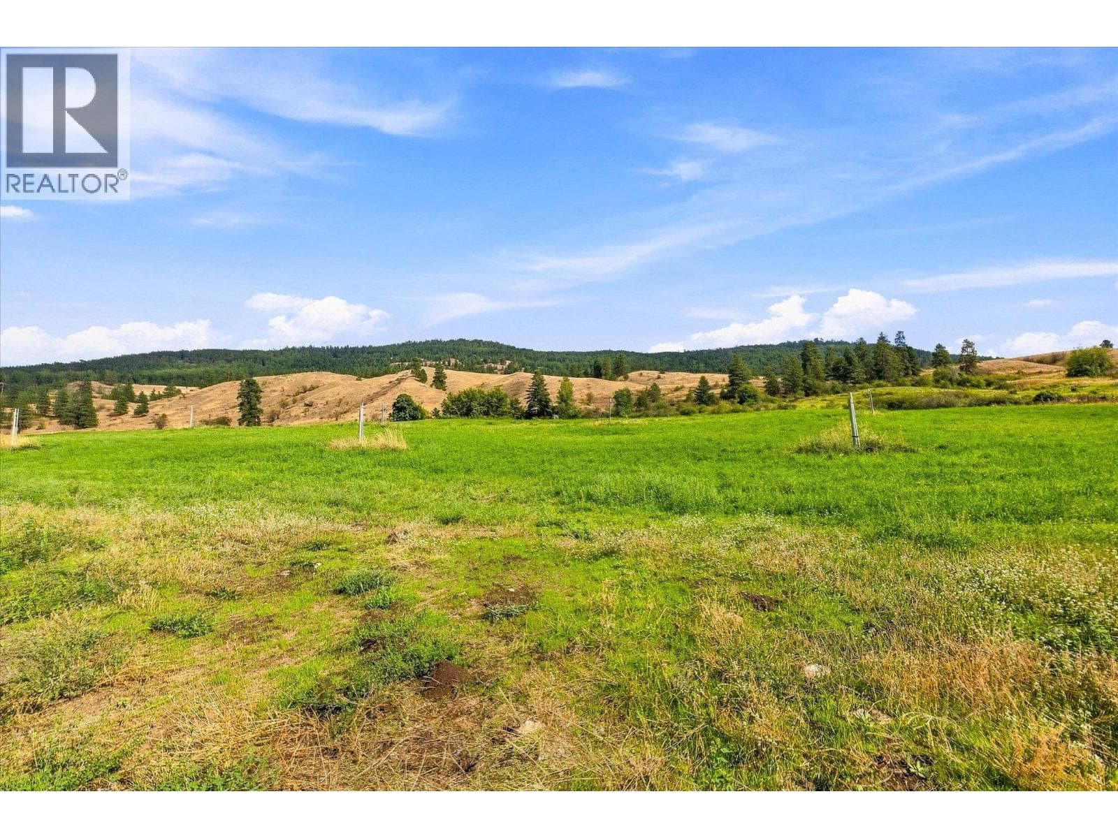 12891 Trewhitt Road, photo 52