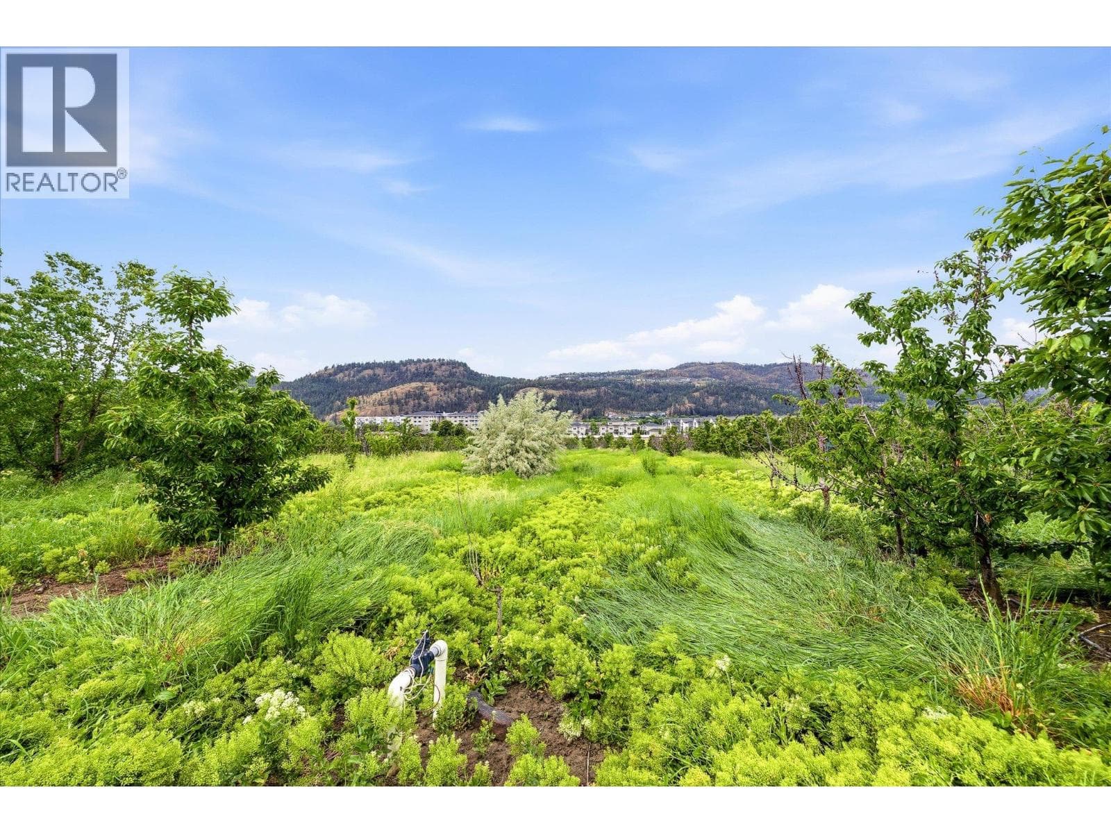 319 Valley Road, photo 17