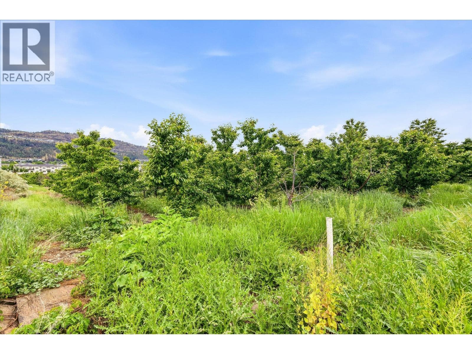 319 Valley Road, photo 65