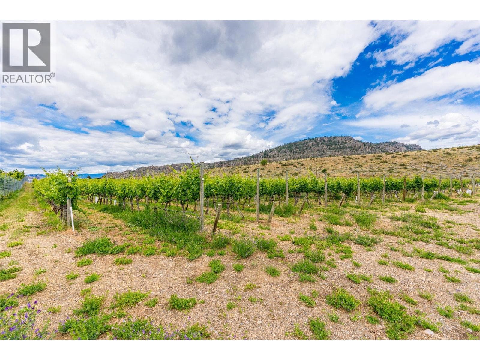 4576 Black Sage Road, photo 80