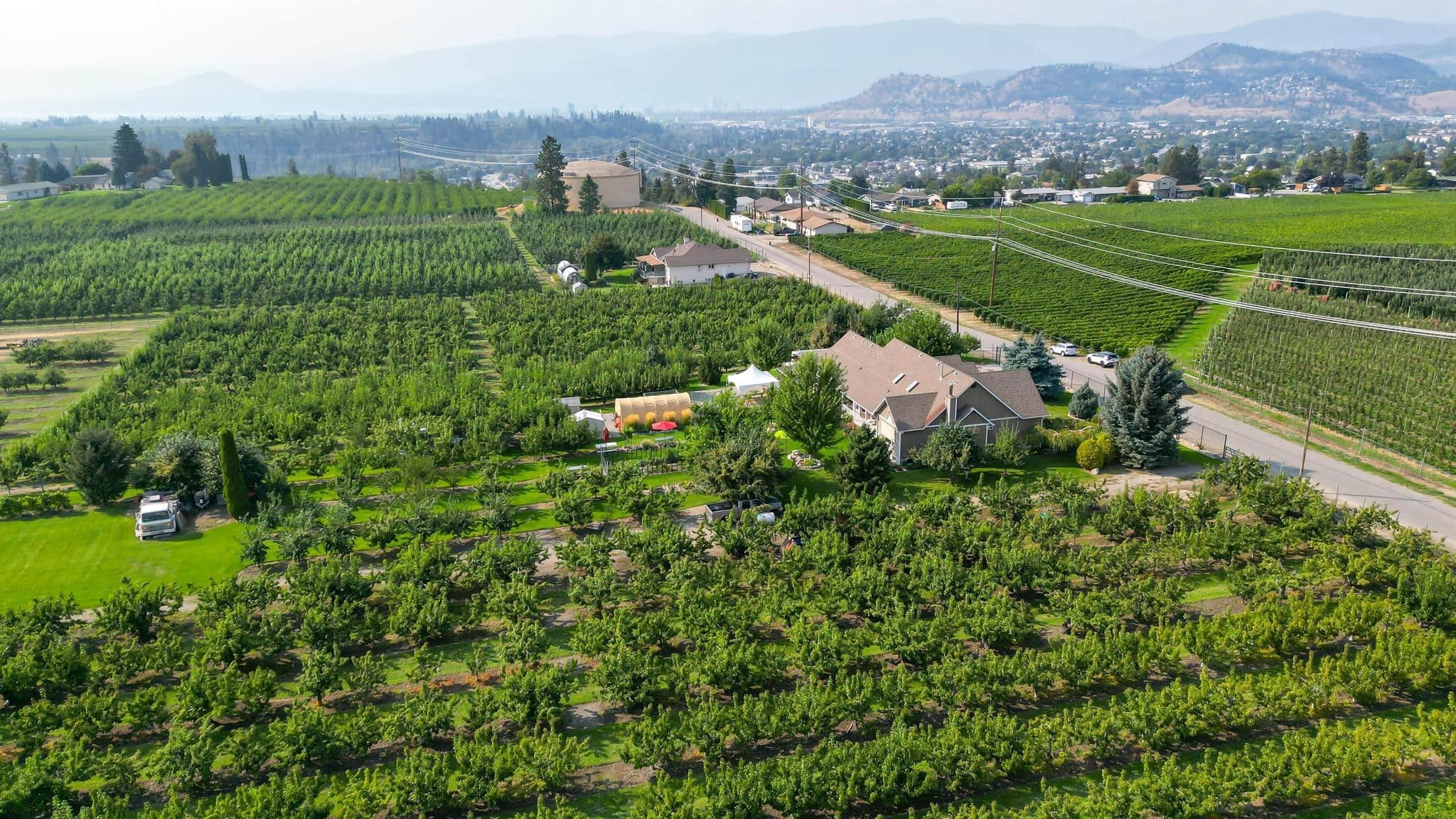 1409 + 1429 Teasdale Road, Kelowna: aerial view of the orchard