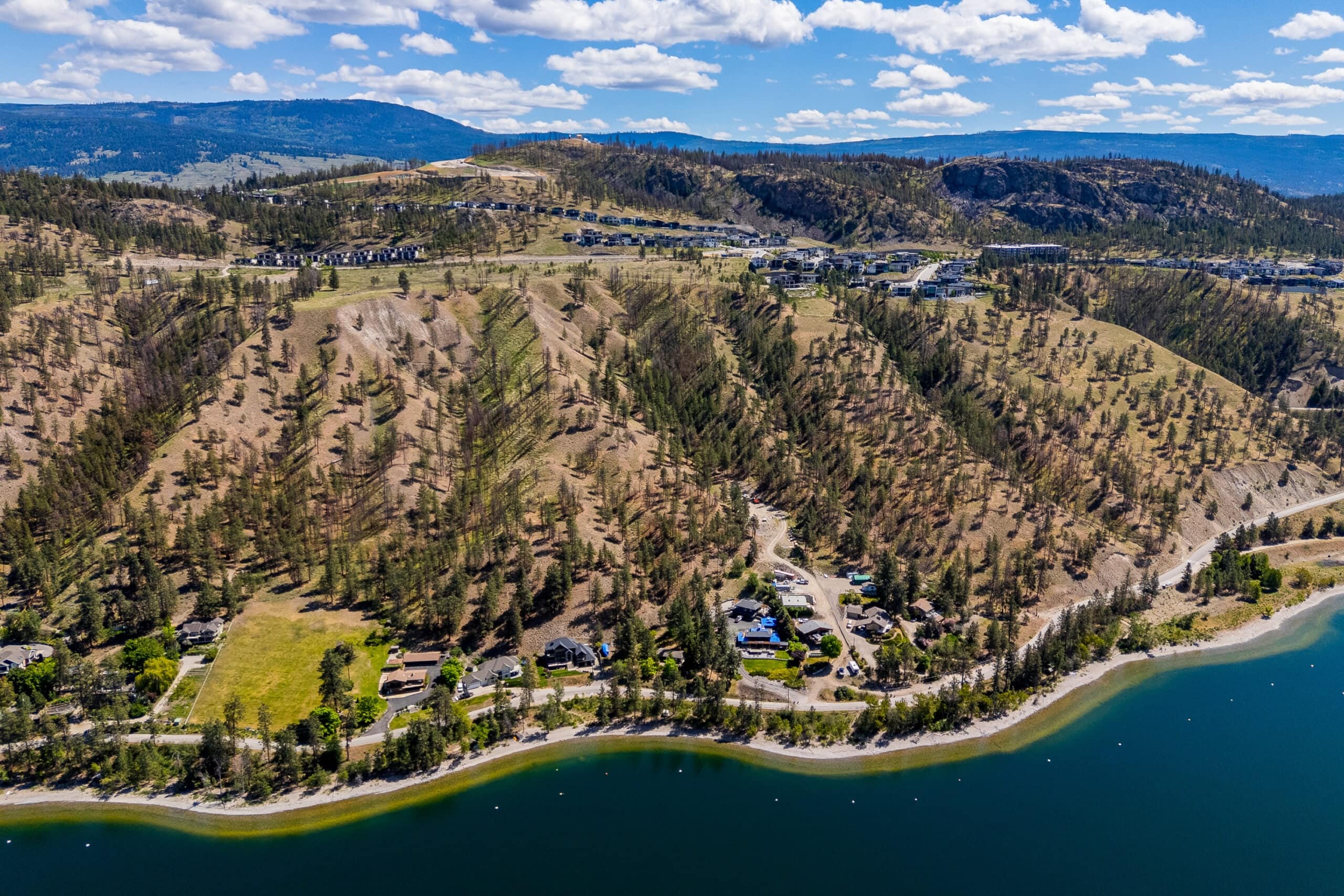 A pine slope running down to houses along the shore of Okanagan Lake, Lakestone's streets on the ridge above
